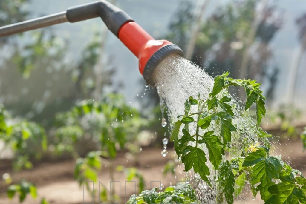 Rainwater Harvesting and Stormwater Management for Singapore Landed Homes
