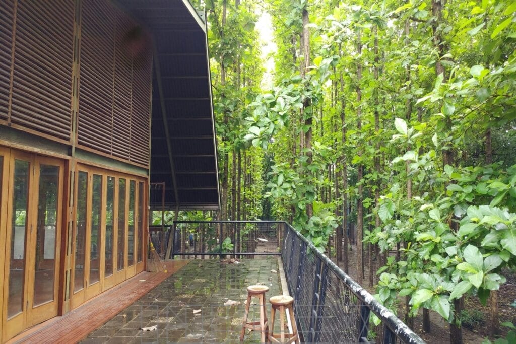 A Green Building Need Not Come at a Premium: The Case for Steel Houses